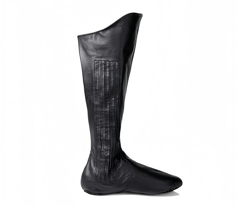 A single black leather boot with a pointed toe and a high heel, standing upright against a white background.