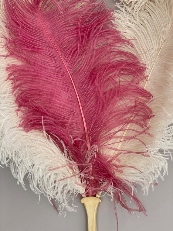 Large 1920s ostrich feather fan pink and cream an… - image 9