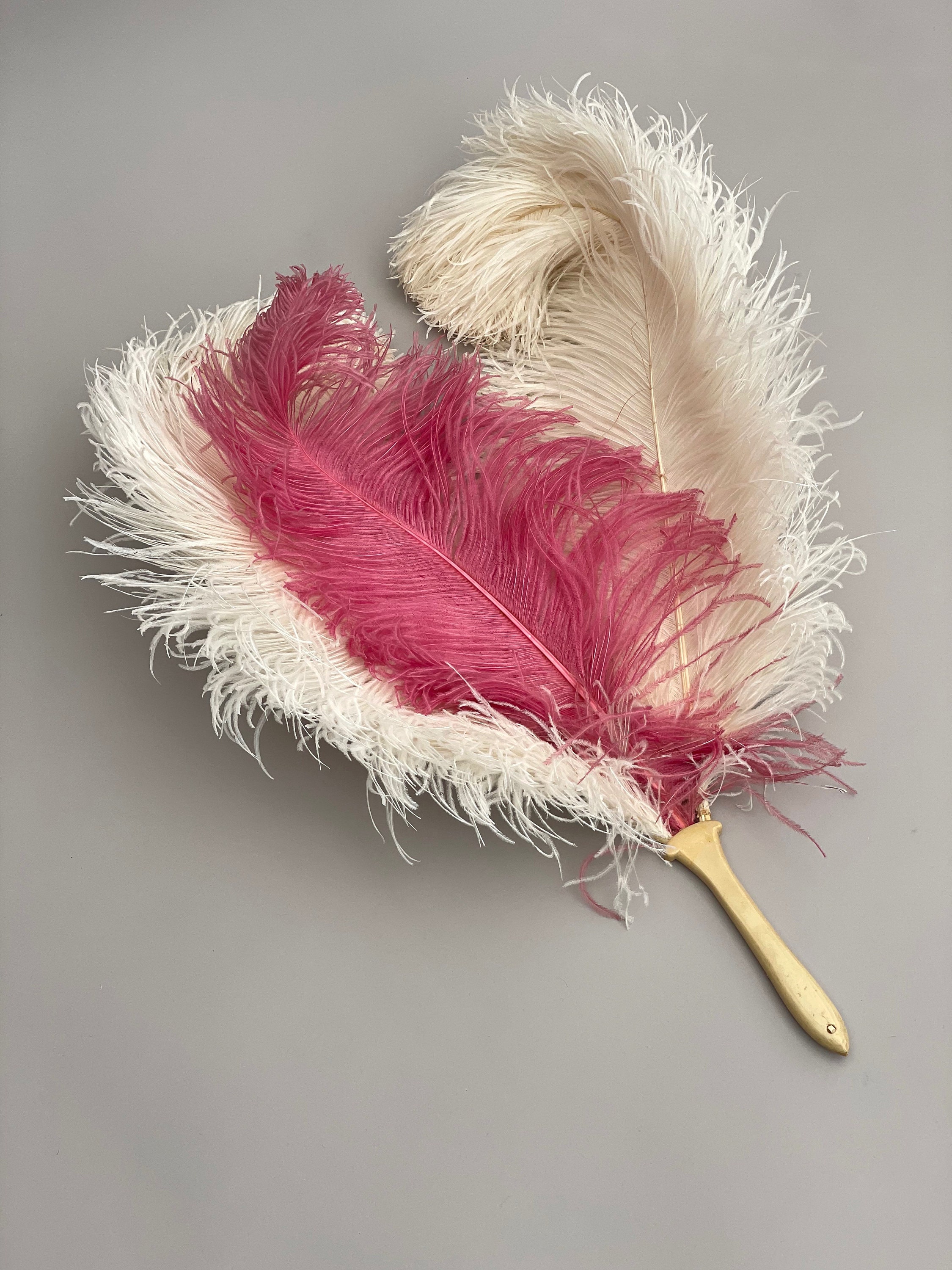 Ostrich Feather Fan Large Dance Fans Rose Red – VINTAGEPOST