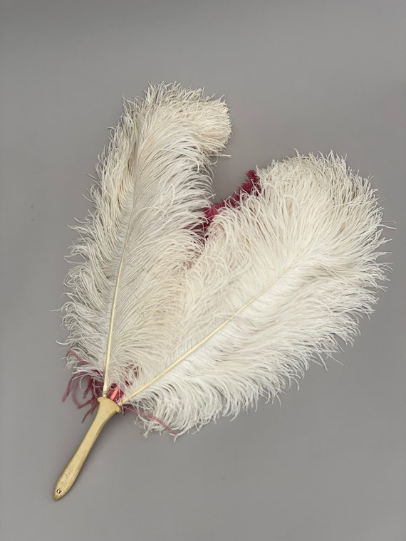 Large 1920s ostrich feather fan pink and cream an… - image 1