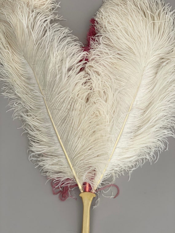 Large 1920s ostrich feather fan pink and cream an… - image 6