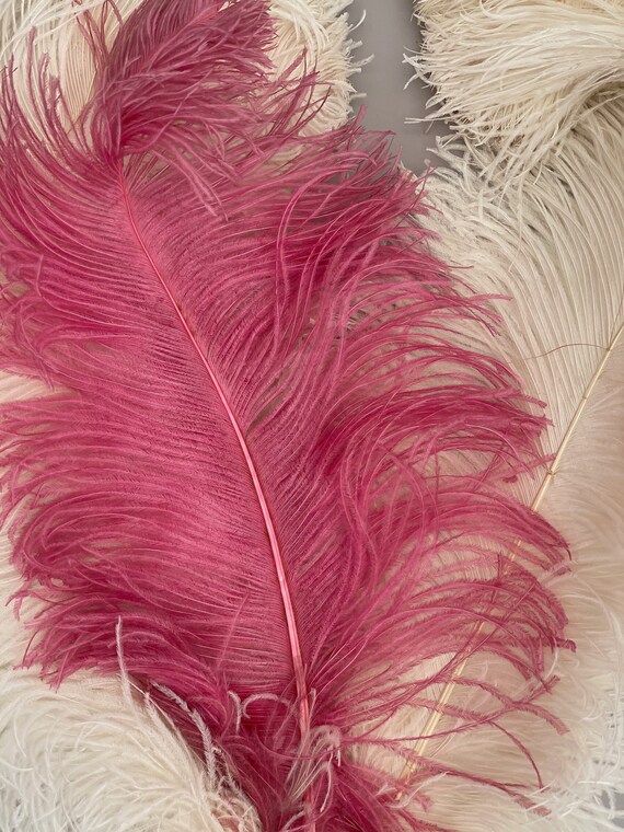 Large 1920s ostrich feather fan pink and cream an… - image 5