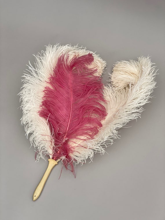 Large 1920s ostrich feather fan pink and cream an… - image 8