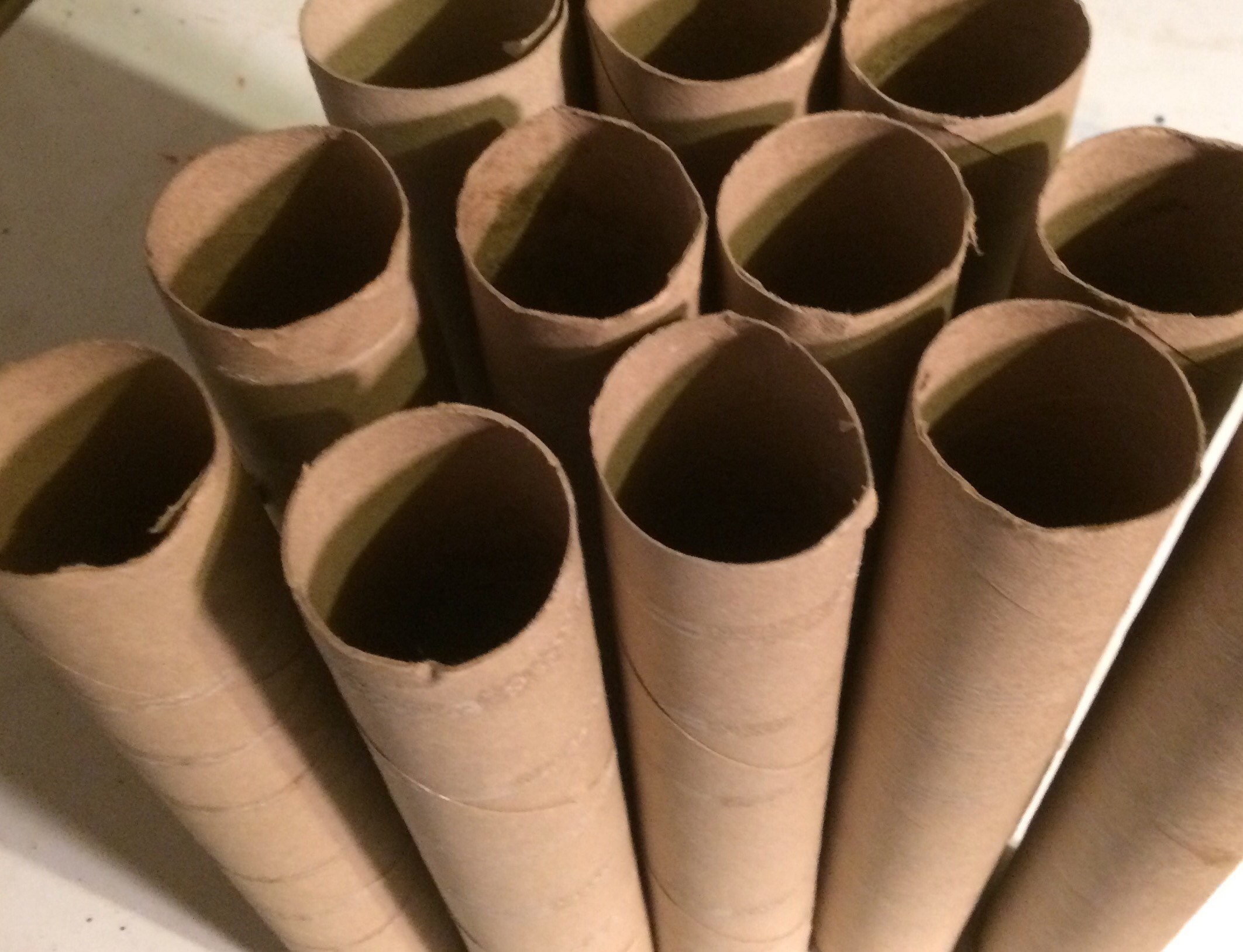 FREE SHIP Lot of 25 or 50 Empty Household Paper Towel Rolls Cardboard Tubes  Art & Crafts Projects 