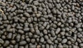 100% Pure Alpaca Manure, Natural Garden Fertilizer
