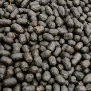 100% Pure Alpaca Poop! Great for fertilizer, gardening, plants, manure. Price is per pound.
