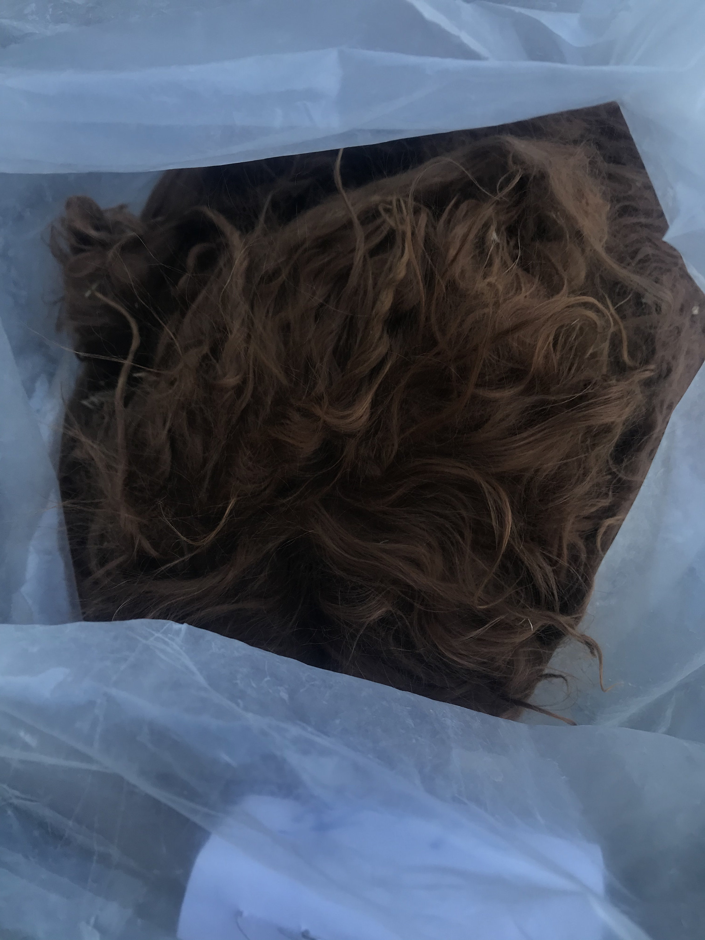 Raw Alpaca Fleece Suri Alpaca Fleece Knitting Crafting Etsy UK