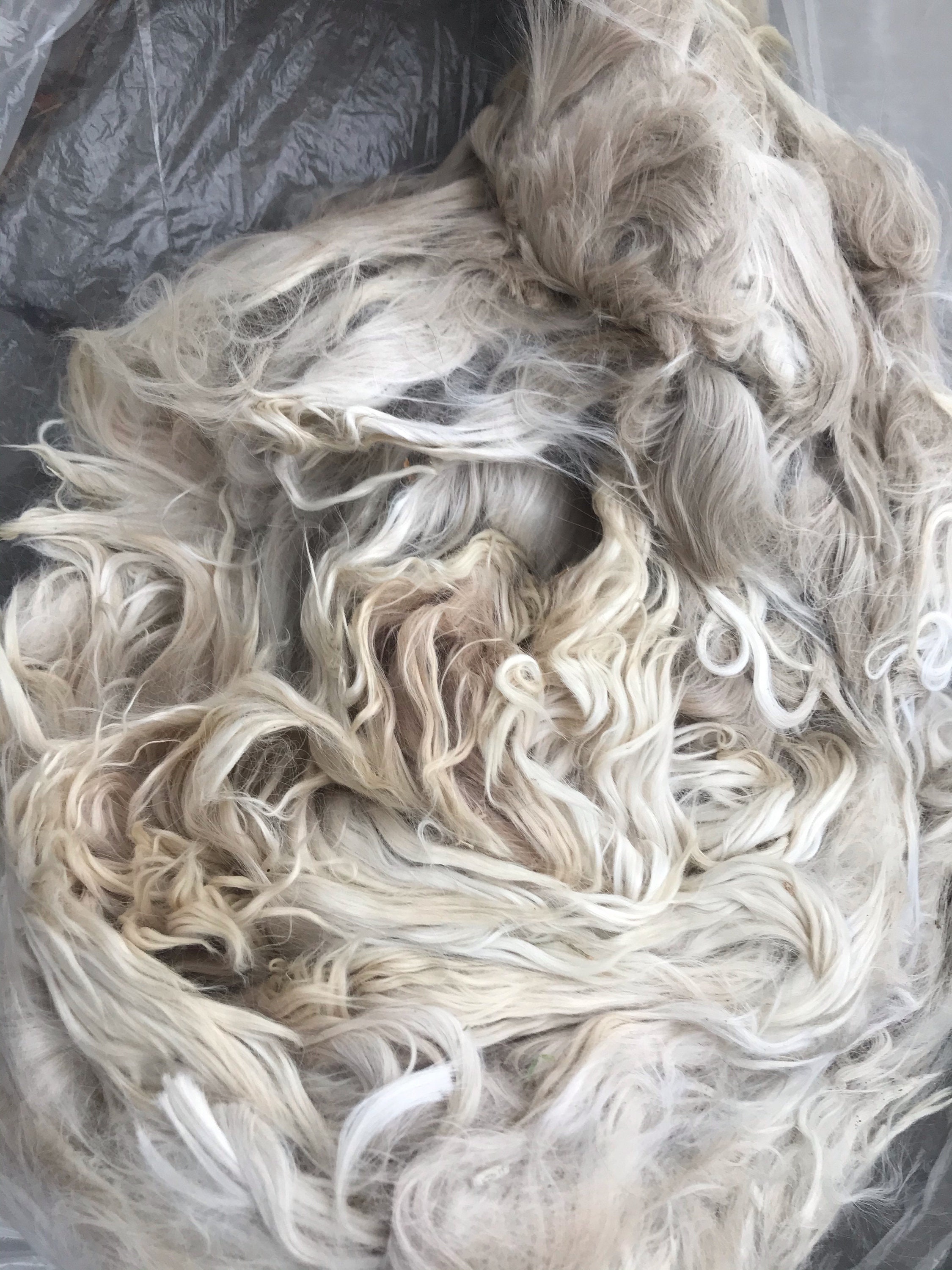 Raw Alpaca Fleece Suri Alpaca Fleece Knitting Crafting Etsy UK
