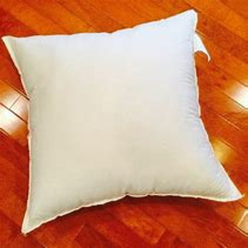 Pillow Insert 20x20 Polyester Pillow Pillow Insert 20x20 Polyester Pillow