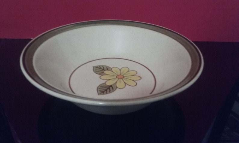Made in Japan 1455 1960/'S Stoneware By Mikasa Hallkraft Lazy Daisies 9 Bowl