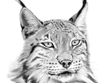 Limited Edition Lynx Animal Print Chandelier Shade Limited Edition Lynx Animal Print Chandelier Shade