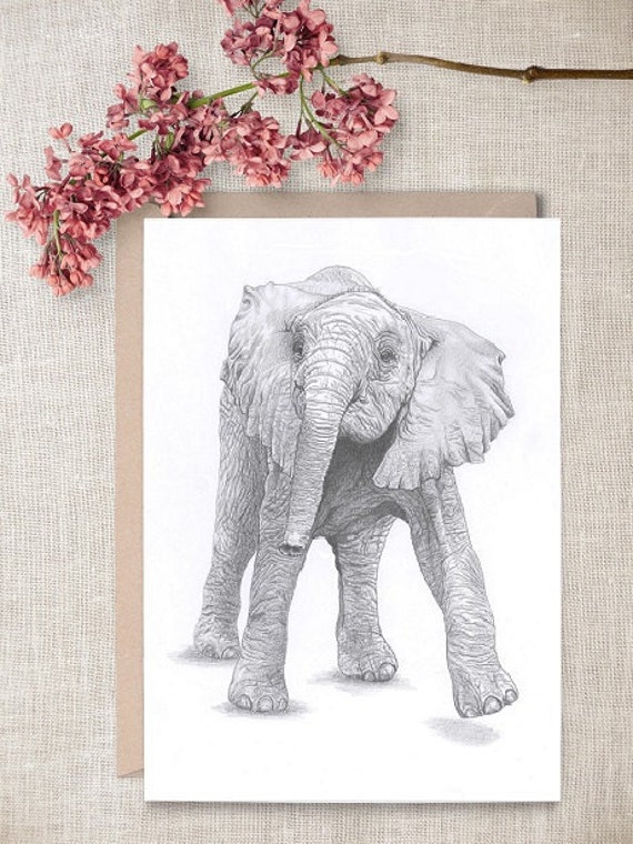 Safari Elephant Wildlife Blank Note Card With Envelope
