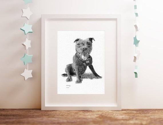 staffy teddy bears