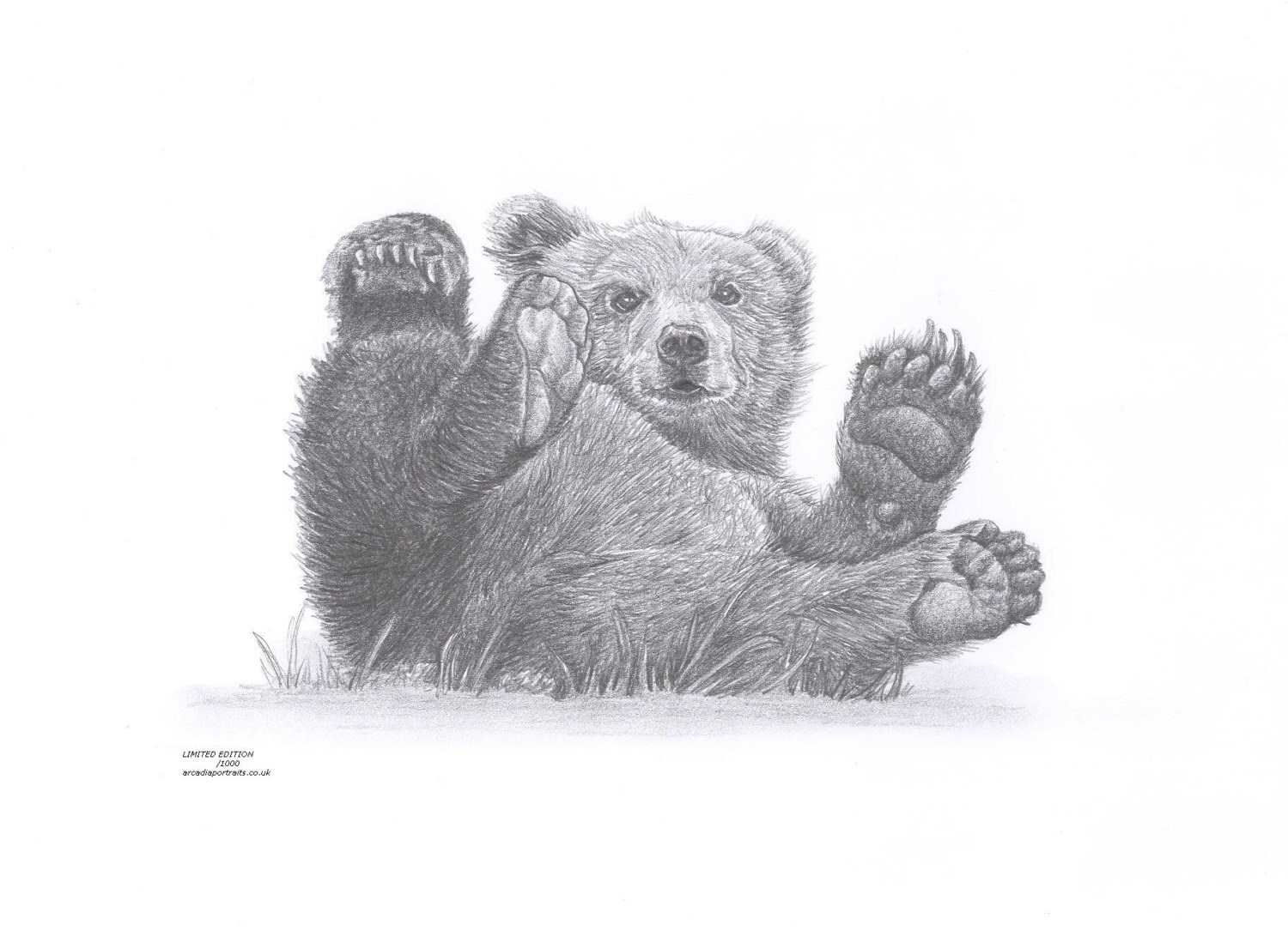 Cute Bear Cub Drawing Sketch for Kindergarten