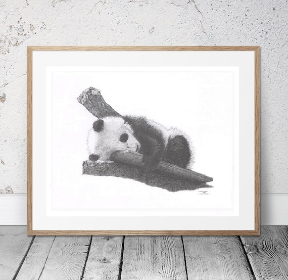 Panda Bear Baby Asia Nursery Limited Edition Art Drawing Print Etsy Panda Bear Baby Asia Nursery Limited Edition Art Drawing Print Etsy