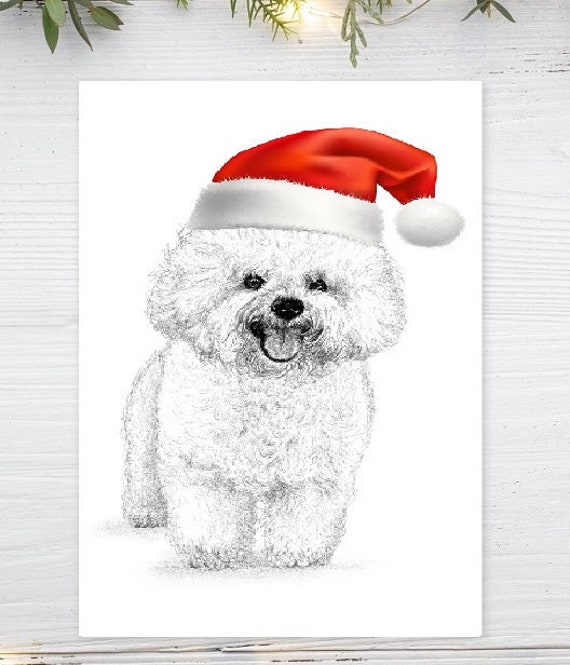 bichon christmas