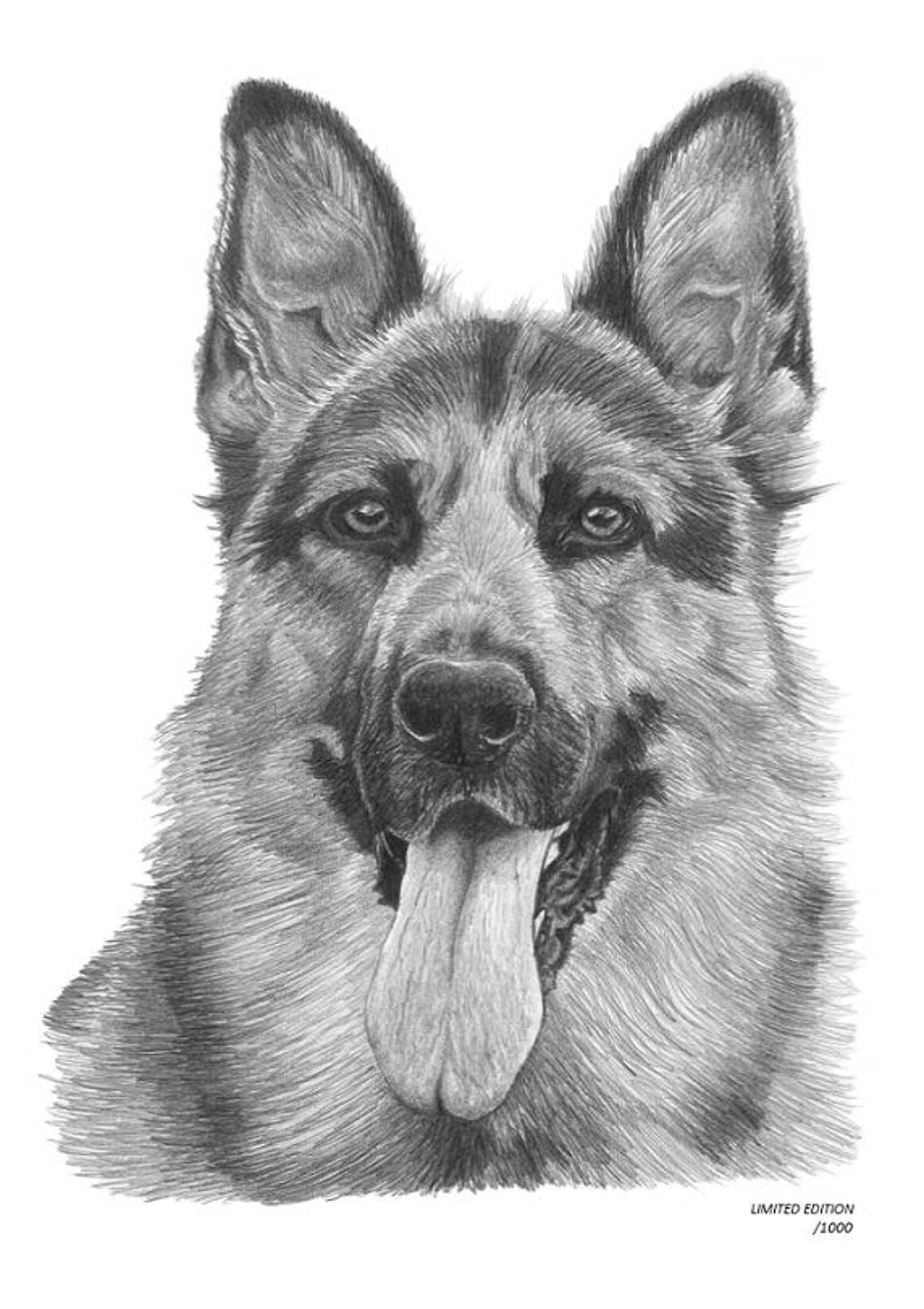 GERMAN SHEPHERD (1) large Greetings Card, Note Card, Notelet - A5 size with...