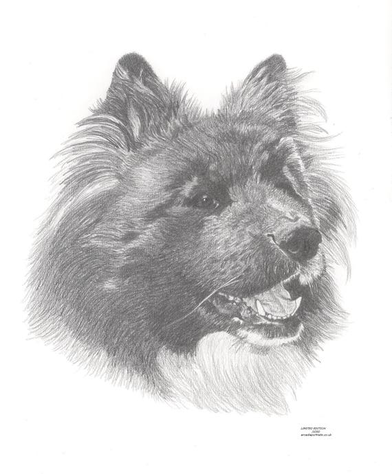 Akita Long Hair Haired Dog Limited Edition Art Drawing Print Etsy