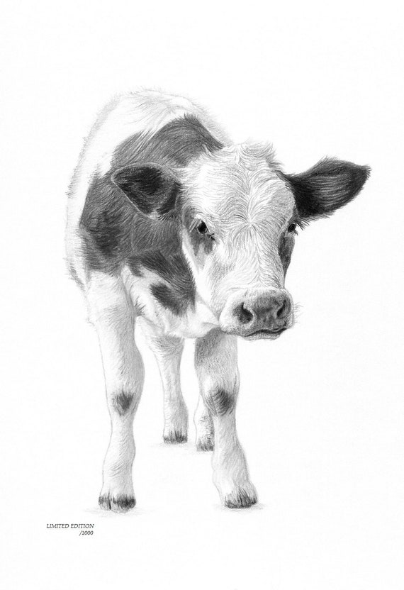 Calf Drawing : Complete assembly drawings for each of the eight toys