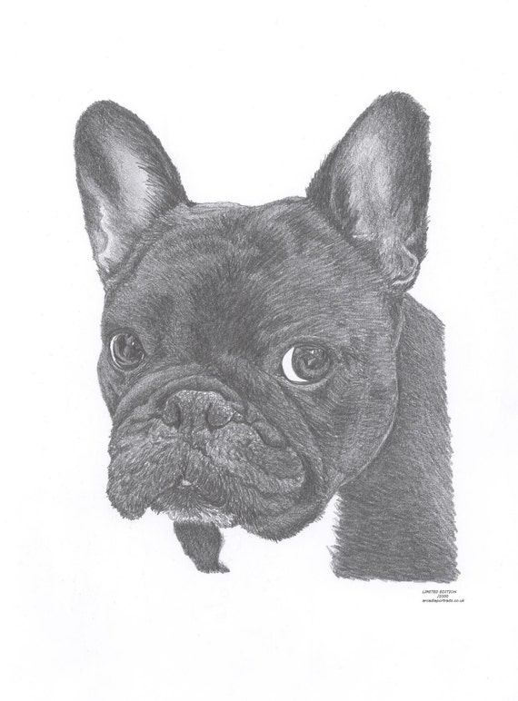 Art De Limited Edition De Chien Bouledogue Français Dessin Imprimé Signé Par Lartiste