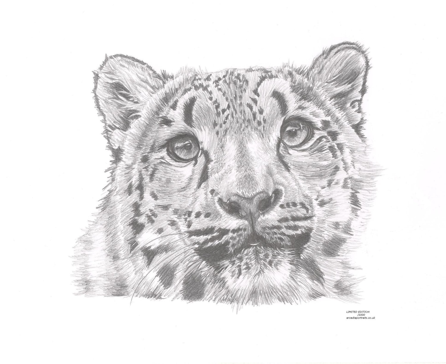 where to buy apple snow leopard where to buy apple snow leopard