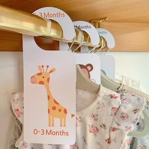Safari Baby Wardrobe Dividers - Baby Safari theme Nursery Decor Ideas - Safari nursery Baby clothes separators - Clothes Organisers