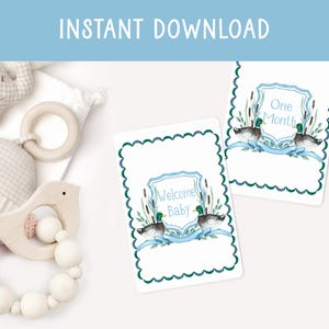DOWNLOAD INSTANTÂNEO Cartões de marco mensal para bebê menino Cartão de marco de pato-real para bebê menino Marcador de marco mensal Foto aquarela Brasão