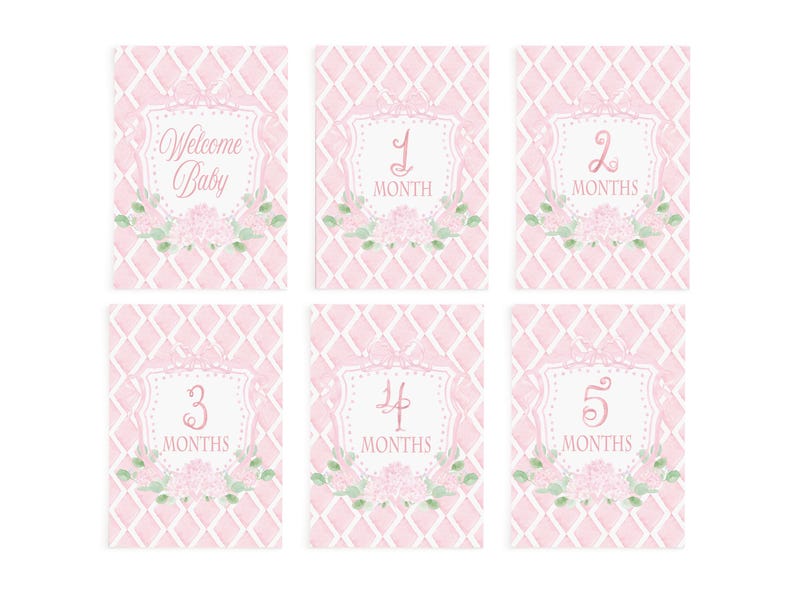 INSTANT DOWNLOAD Baby Girl Milestone Card Watercolor Pink Heirloom ...