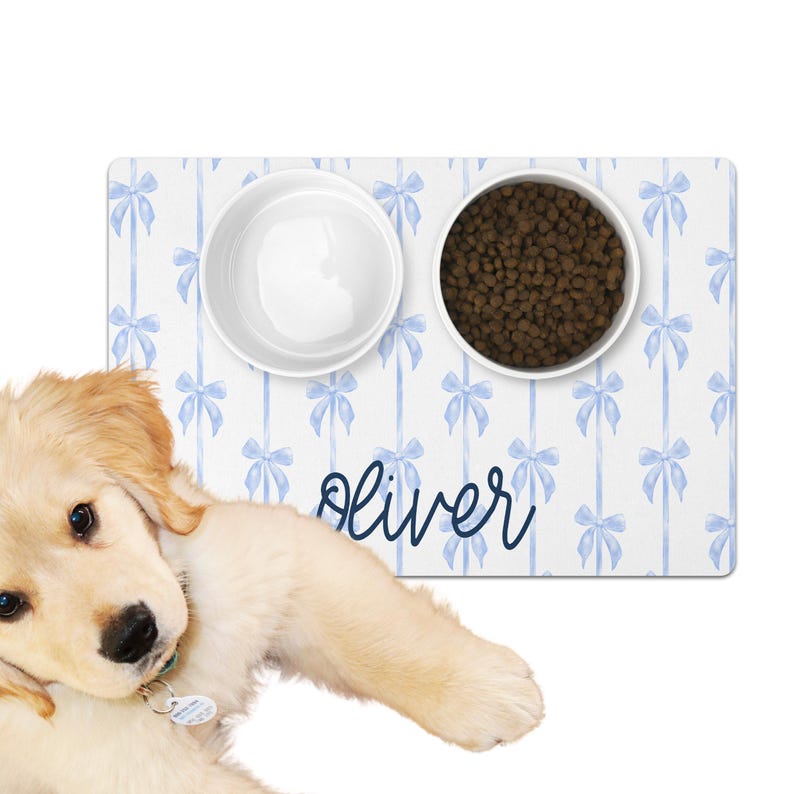 Personalized Dog Bowl Mat With Name Custom Pet Placemat Chinoiserie Dog Gift For New Puppy Gift Custom Bowl Mat For Cat Gift For Pet Lover