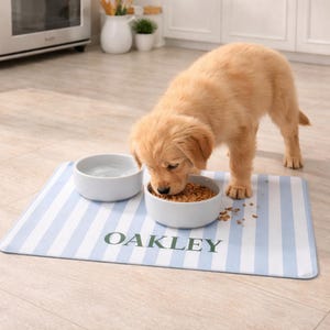 Personalized Dog Bowl Mat with Name, Chinoiserie Style Pet Placemat, Custom Cat or Dog Gift for New Puppies, Pet Lover, Non-Slip Food Mat