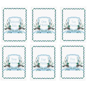 Scheda di traguardo del bambino stampabile Mallard Duck Heirloom Baby Photo Cards Preppy Grandmillennial Baby Month Photo Prop Blue Crest Baby Gift