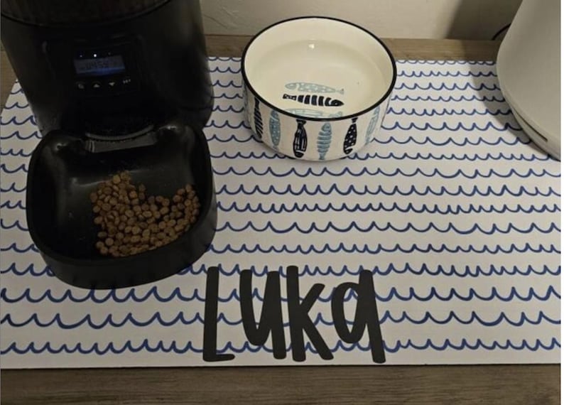 Personalized Dog Bowl Mat Boho Custom Dog Lover Gift Pet Mat For Food New Puppy Gift Custom Dog Bowl Gift Cat Gift Personalized Cat Mat Dog image 5