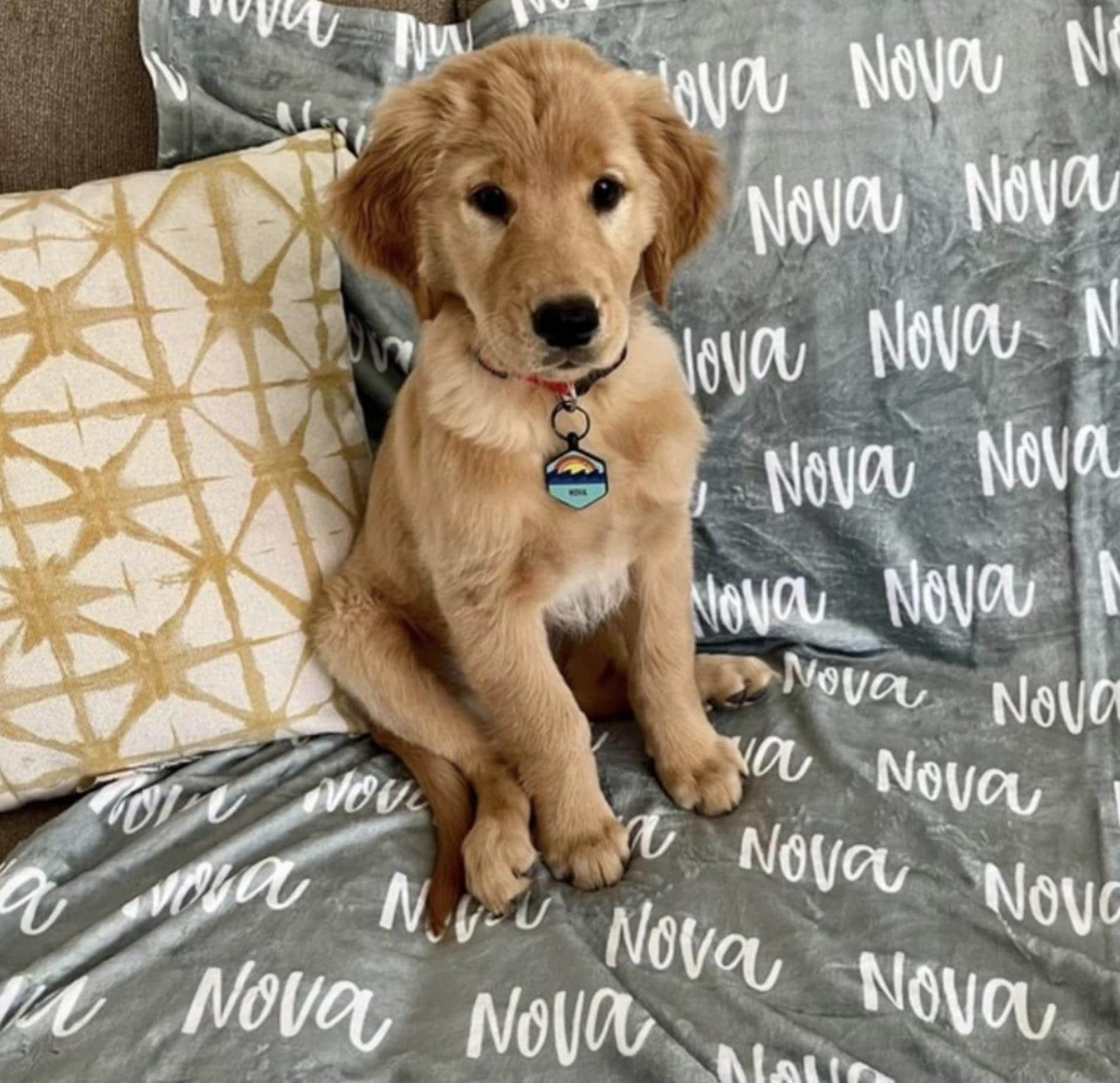 Personalized Pet Name Blanket for Pet Custom Dog Blanket Plush