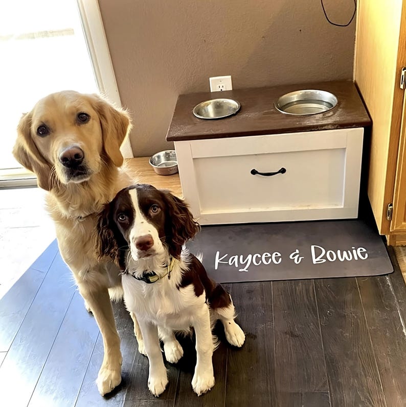 Personalized Dog Bowl Mat Boho Custom Dog Lover Gift Pet Mat For Food New Puppy Gift Custom Dog Bowl Gift Cat Gift Personalized Cat Mat Dog image 6