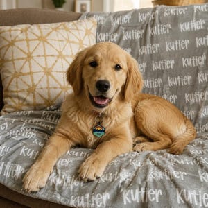 May include: A golden retriever puppy with a hexagonal tag featuring a sunset graphic sits on a gray blanket patterned with the repeating white text "kutier". Behind the puppy is a beige throw pillow with a gold geometric grid pattern.