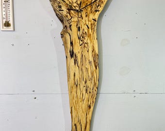 Spalted Silver Birch Live Edge Wooden Wall Clock
