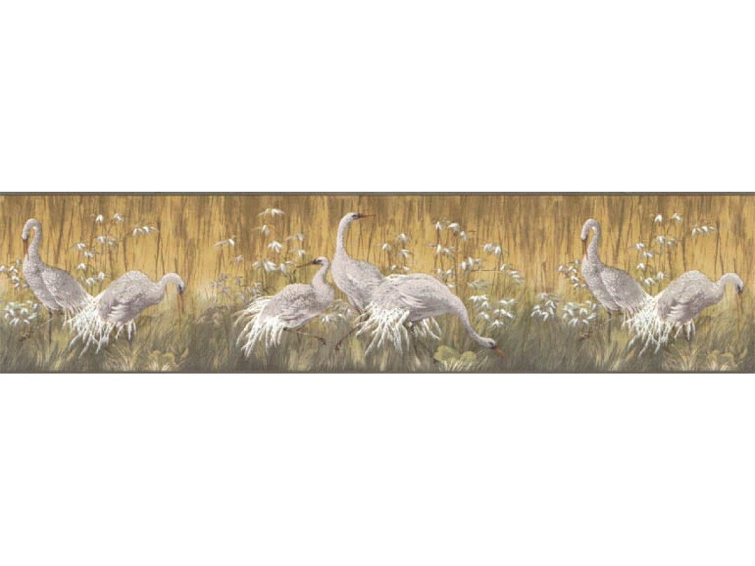 6 7/8 in X 15 Ft Prepasted Wallpaper Borders Birds Wall Etsy