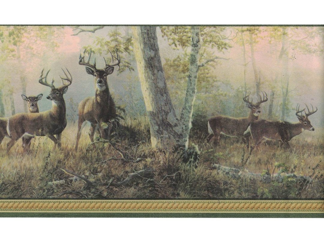 6 1/2 in X 15 Ft Prepasted Wallpaper Borders Deer Wall Paper Etsy