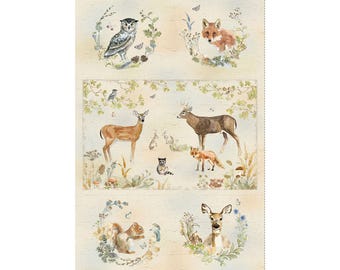 Wildwood Multi 24 Inch Panel by Beth Grove for Clothworks Y4369-55