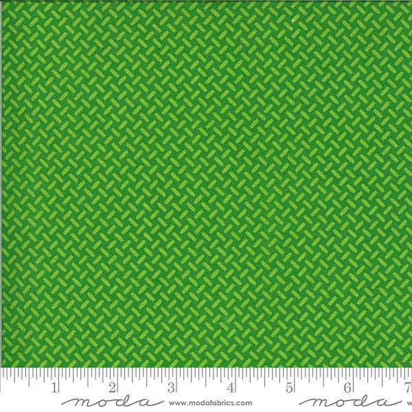 On the Go Eat My Tread Green Light by Stacy Iest Hsu for Moda fabrics. 20728 15 Fabric is sold in HALF YARD increments