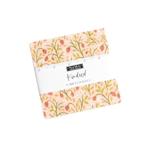 Kindred Charm Pack 42 Pieces by 1 Canoe 2 for Moda Fabrics 36070PP