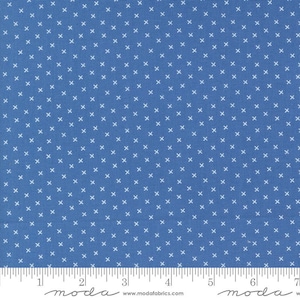 Coriander Colors Xs Blender Blue by Corey Yoder for Moda Fabrics 29202 28 Sold in HALF yard increments