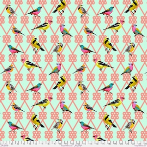 Moon Garden In a Finch Dawn by Tula Pink for Free Spirit Fabrics PWTP198.DAWN Sold in HALF yard increments