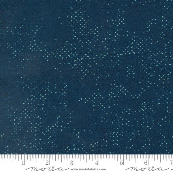 Frisky Spotted Moody by Zen Chic for Moda Fabrics 1660 184 Sold in HALF yard increments