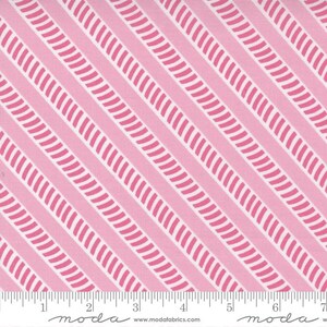 Picnic Pop! Stripe Popping Pink by Me & My Sister Designs for Moda Fabrics 22436 25 Sold in HALF yard increments