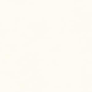 May include: A plain white background with no visible objects or text.