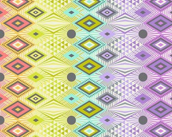 Minky Deja Vu Tabby Road Prism Disco Lucy Minky MKTP003-PRISM Minky is Sold in HALF yard increments