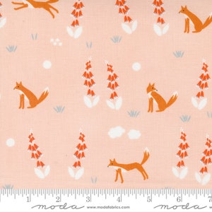 Meander Foxes Blush by Aneela Hoey for Moda Fabrics 24581 13 Sold in HALF yard increments