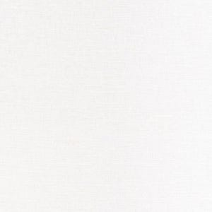 Puede incluir: Un fondo de lienzo blanco liso con una textura sutil.