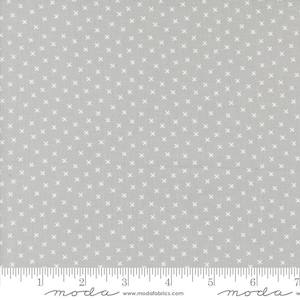 Coriander Colors Xs Blender Grey by Corey Yoder for Moda Fabrics 29202 30 Sold in HALF yard increments